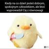 Thumb_16d08598-ba60-4fb9-a974-8a1a62df3ae3