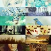 Thumb_77cc72f5-c1ed-4662-9d55-009eaff5d481