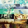Thumb_f332a681-43a5-476e-b0c5-32a57eebadda
