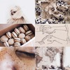 Thumb_5e78cca5-35ba-4457-9ca3-6c348a1ae2ef