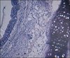 Thumb_2aa1deee-e4ea-499e-bc50-2aeeb35a4283