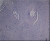 Thumb_800d4f94-6c57-4e63-96f9-54c33e59cab6