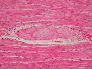 D6648d2b-b193-41a2-a3e1-d5544cdabf14
