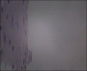 C412b830-24b7-4a2a-814e-8a5ad91ec4d6