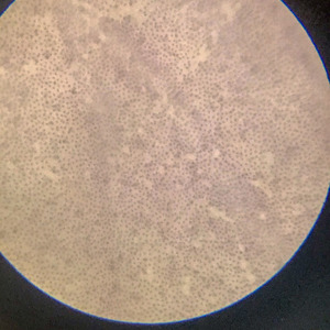 A94ef8af-0913-4008-ae7a-576b5922cb5c