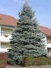 Thumb_083e8628-7b03-4003-8f0d-c4d46c459f8a