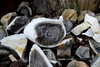 Thumb_95e48a1b-6549-4f4f-b94c-e5a85fedae88
