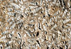 Thumb_03e54ae6-1b7e-42bf-8a99-a1c8ea59c79f