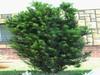 Thumb_7c3d843b-9c90-478f-9dd8-b7217bc10489
