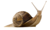 Thumb_5c633c87-3fa0-468a-b2e1-8397c7d5cbd4
