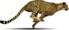 Thumb_c4c4ace9-66db-4d1b-8aca-95f1b86f4e74