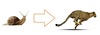 Thumb_dacf0745-b80d-40ca-994c-5219eeb5e492