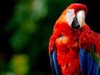 Thumb_9c4559c2-1089-4e75-824b-6fb08d46dd5b