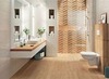 Thumb_81ffca6d-041d-494f-a29a-ecdf1bafdc4b