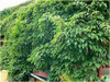 Thumb_6a6ebf21-b59a-45a0-af98-f0c151508acf