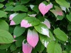 Thumb_ceb60f48-2574-47d0-a4bd-200236cb9e2c