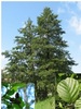 Thumb_0294ad96-dda6-4049-bcd3-97b5e064cf65