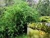 Thumb_ad513b95-8b07-4c44-bb0b-28908e87c0b0