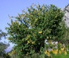 Thumb_79e38395-9cc3-43a7-9b7f-ae8ecf8ee96c