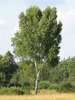 Thumb_a82af564-eab6-410d-ab6b-e6d2c4573269