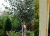 Thumb_08f55727-5d26-4d7b-aa0e-19b79f3c79c6