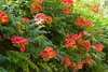 Thumb_768262e3-fc66-4c86-9e76-3b633187e399