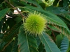 Thumb_90e9b656-4de6-407a-ad96-aeafe3d120ef