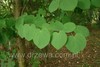Thumb_644f4cf0-f014-4156-90bd-a16e6e685a08