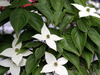 Thumb_d648640c-7bd6-4105-a942-f87ee0966687