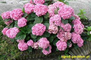 97ddcb5d-279e-4d4d-9de3-c017c164eadf