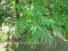 Thumb_06156271-a4ef-41ce-9796-4511e3e08ee0