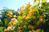 Thumb_23a88ffb-6b9c-453d-b066-9fdcae5c0707