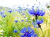 Thumb_609e899b-7919-4dbc-b7f5-8851b9df46cd