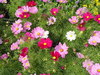 Thumb_2030028a-b4eb-48db-a8d7-b53e3e95957f