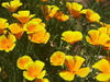 Thumb_dda002ee-8831-4b87-8f47-98a222b9fbbb