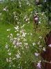 Thumb_2bb70146-5cce-4db9-8e8f-06713ccedb9c