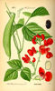 Thumb_8876941e-bde5-467f-b4cc-d1d3b9cc702c