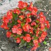Thumb_56f14baf-9b34-434b-81c0-04abcec6e261