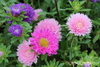 Thumb_2cd7919a-23ed-4fa2-958e-7c89fe7c4928