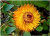 Thumb_cc03d4a7-4347-4e15-9823-71f0024254ed