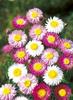 Thumb_17cf23ae-cb1c-425e-8dc9-acd087bfe877