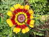 Thumb_6566fab0-0e4e-42de-83de-0ce10bcbd1b1
