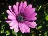 Thumb_b62509e3-041d-40da-b546-5f304b56f5f3
