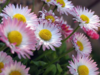 Thumb_0366f68f-7af9-4b08-b025-a3fae3b58221
