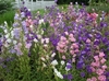 Thumb_58f009bf-23d5-4927-9ffb-062bf0a5edd1