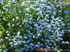 Thumb_9f0aa95c-f8ab-4670-bd33-ea0f187988e9
