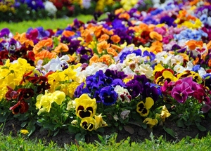 4f452215-3eee-4195-974c-a1c671e63d15