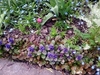 Thumb_297aaf75-9b6c-44a6-910b-e9bedd4fd141