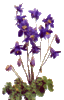 Thumb_f91e2bf4-7d26-4f71-b1c2-28df556e8f5f