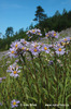 Thumb_f90b53b4-da48-4e1d-beec-e15857f9e012